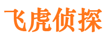 隆回市私家侦探